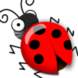Bugcrowd profile picture for @rigged