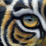 Bugcrowd profile picture for @Titus