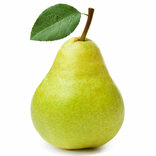 Bugcrowd profile picture for @Pear