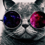 Bugcrowd profile picture for @Vina