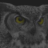 Bugcrowd profile picture for @wqer