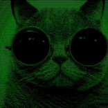Bugcrowd profile picture for @CIGAR