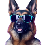 Bugcrowd profile picture for @Chosen