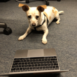 Bugcrowd profile picture for @kat